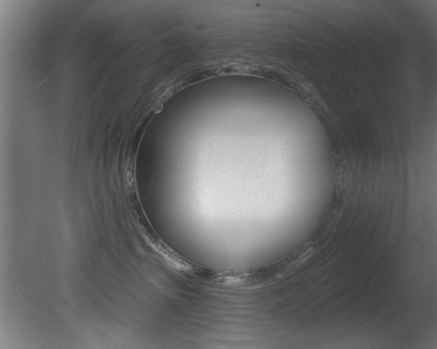 X0000081460285200701121049