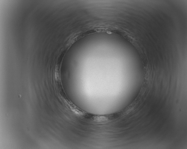 X0000081460287200701121049
