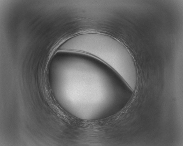 X0000081460289200701121049
