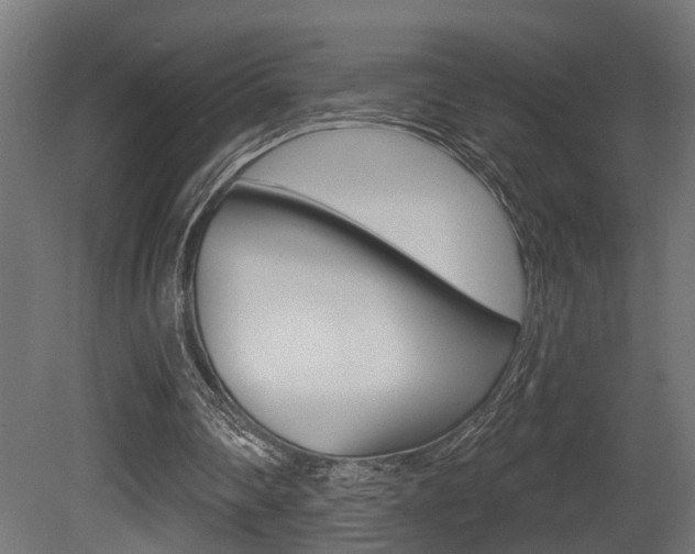 X0000081460290200701121049