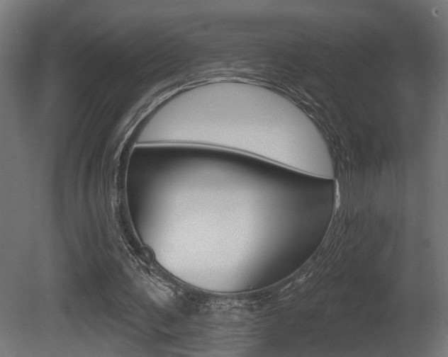 X0000081460291200701121049