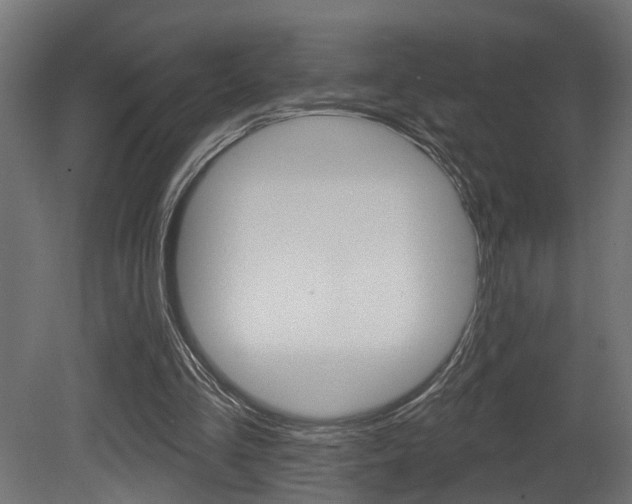X0000081460293200701121049