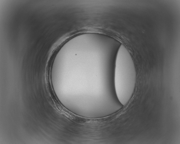 X0000081460294200701121049