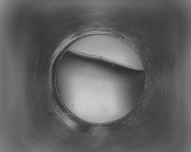 X0000081460296200701121049