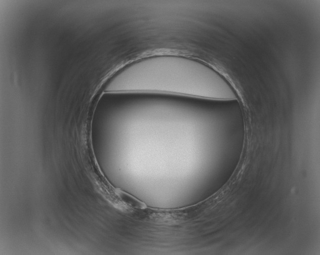 X0000081460297200701121049