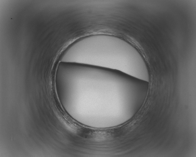 X0000081460298200701121049