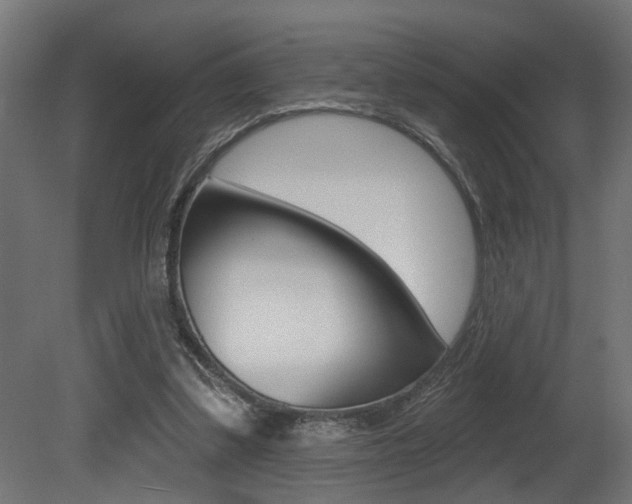 X0000081460299200701121048