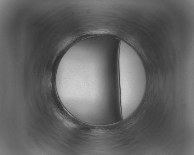 X0000081460300200701121048
