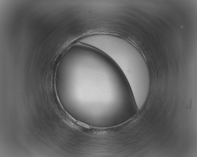 X0000081460301200701121048