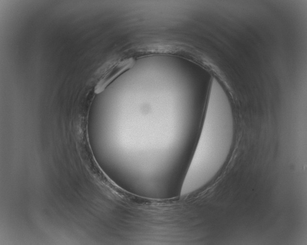 X0000081460305200701121048