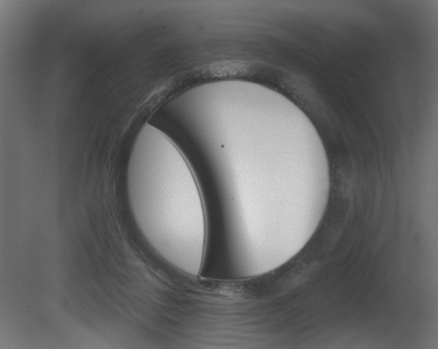 X0000081460308200701121048