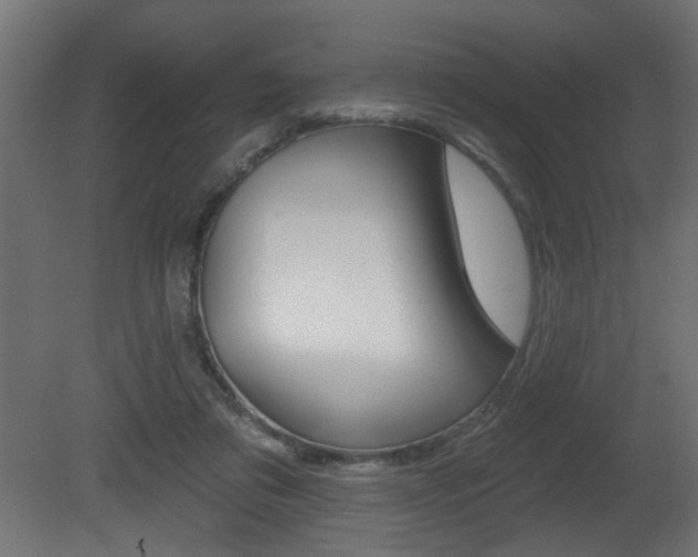 X0000081460309200701121048