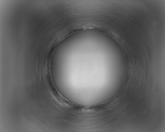 X0000081460311200701121048
