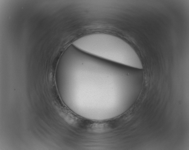 X0000081460314200701121048