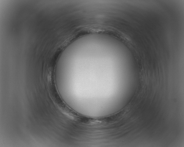 X0000081460315200701121048