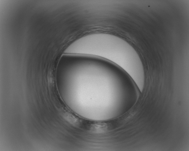 X0000081460317200701121048