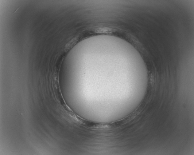 X0000081460322200701121048