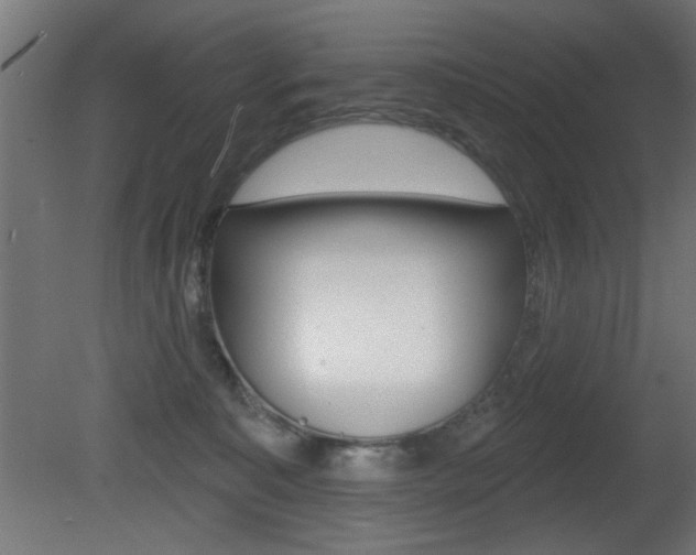 X0000081460323200701121048