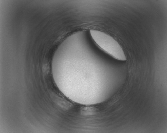 X0000081460324200701121048