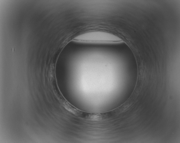 X0000081460325200701121048