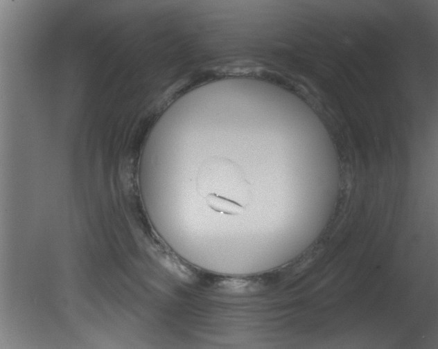 X0000081460326200701121048