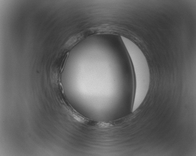 X0000081460333200701121048