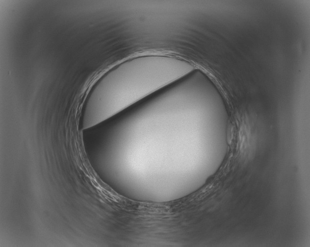 X0000081460337200701121047
