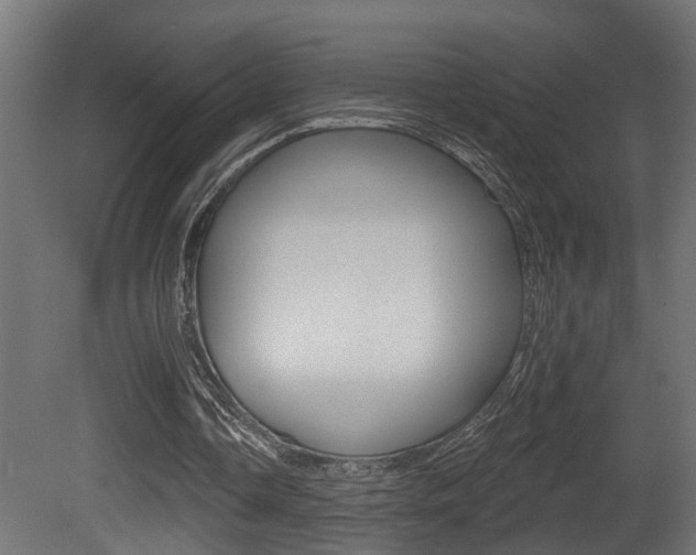X0000081460338200701121047