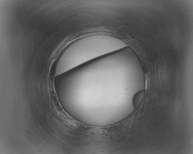 X0000081460339200701121047