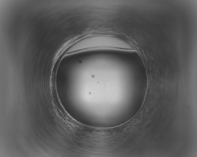 X0000081460340200701121047