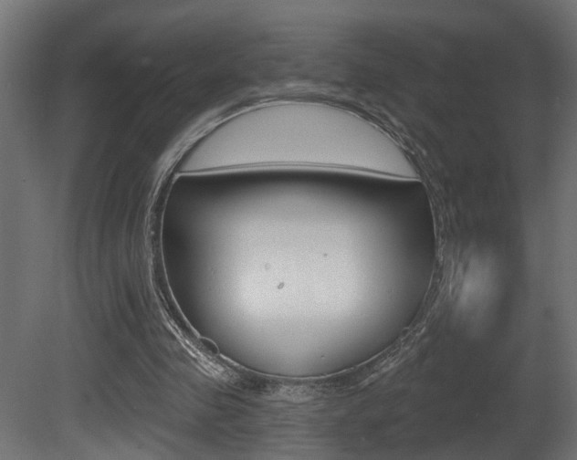 X0000081460341200701121047