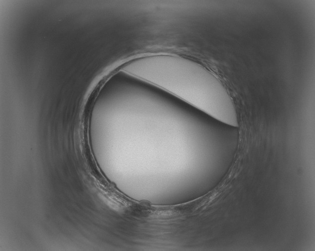 X0000081460342200701121047