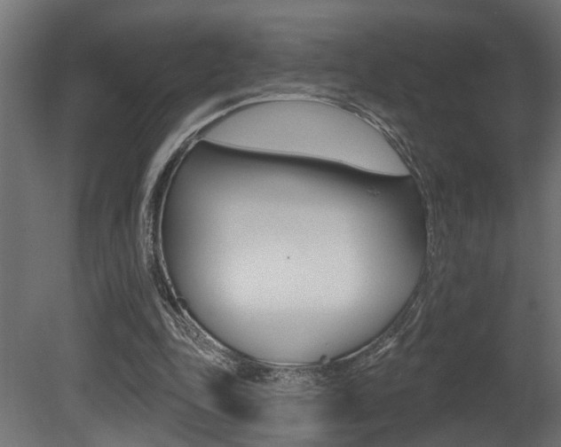 X0000081460343200701121047