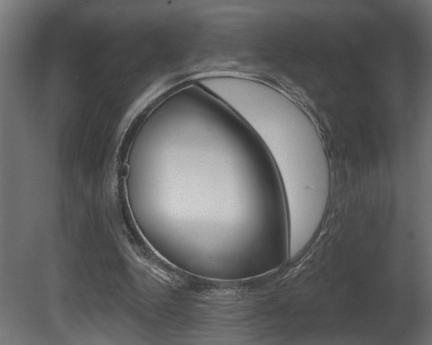 X0000081460344200701121047