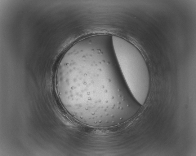 X0000081460346200701121047