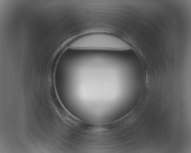 X0000081460348200701121047