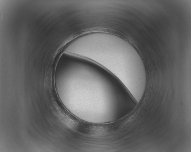 X0000081460349200701121047