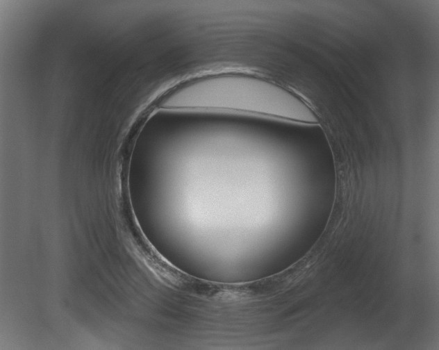 X0000081460350200701121047