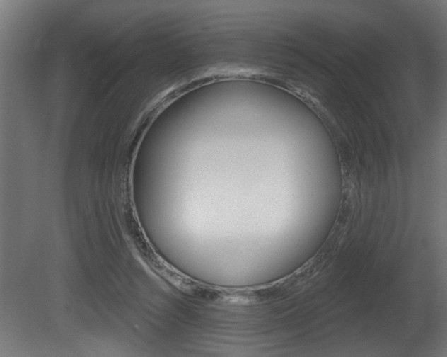 X0000081460352200701121047