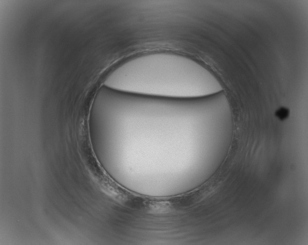 X0000081460355200701121047