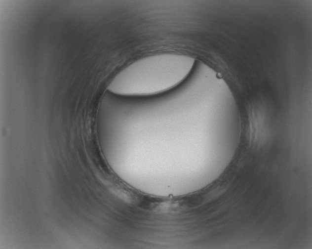 X0000081460366200701121047