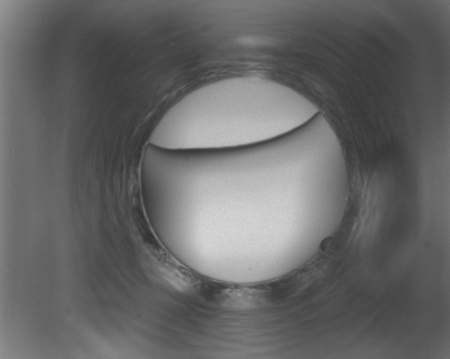 X0000081460367200701121048