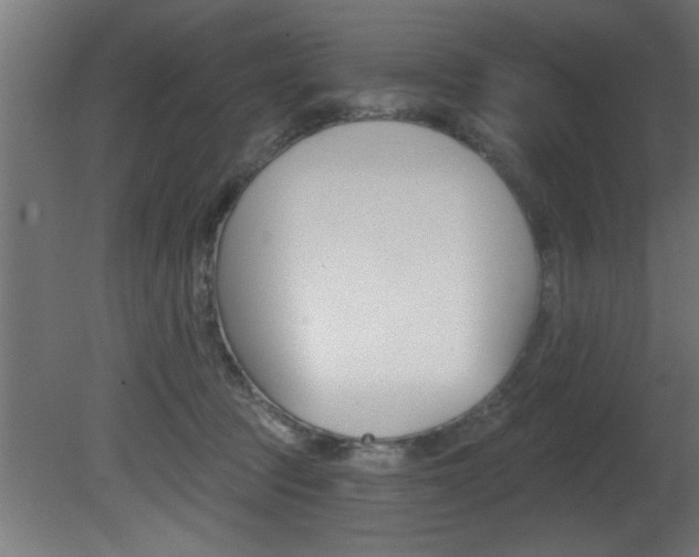 X0000081460369200701121048