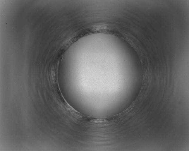 X0000081460372200701121048