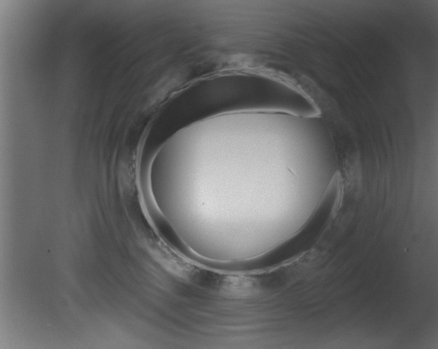 X0000081460376200701121048