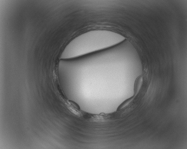 X0000081460381200701121048