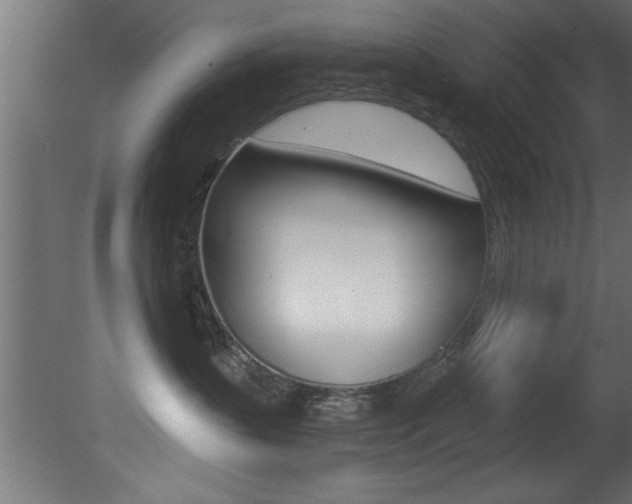 X0000081460383200701121048