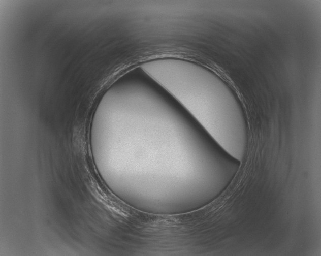 X0000081460386200701121047