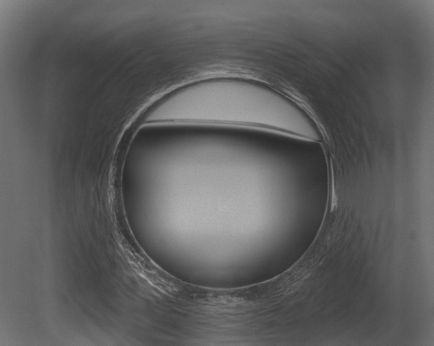 X0000081460387200701121047