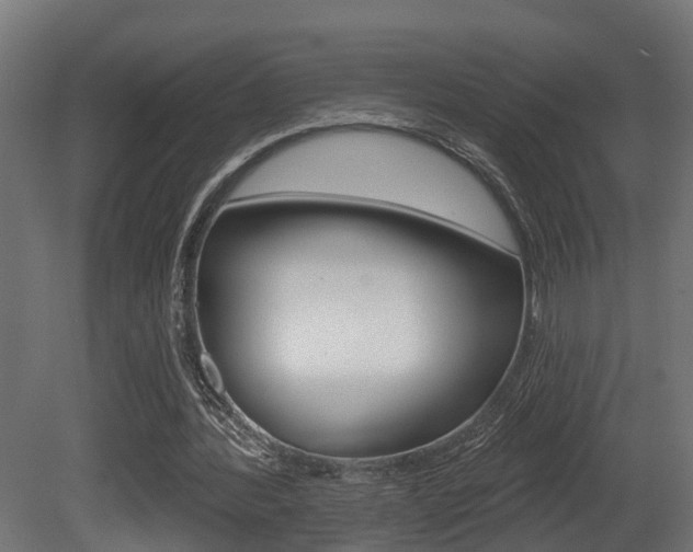 X0000081460388200701121047